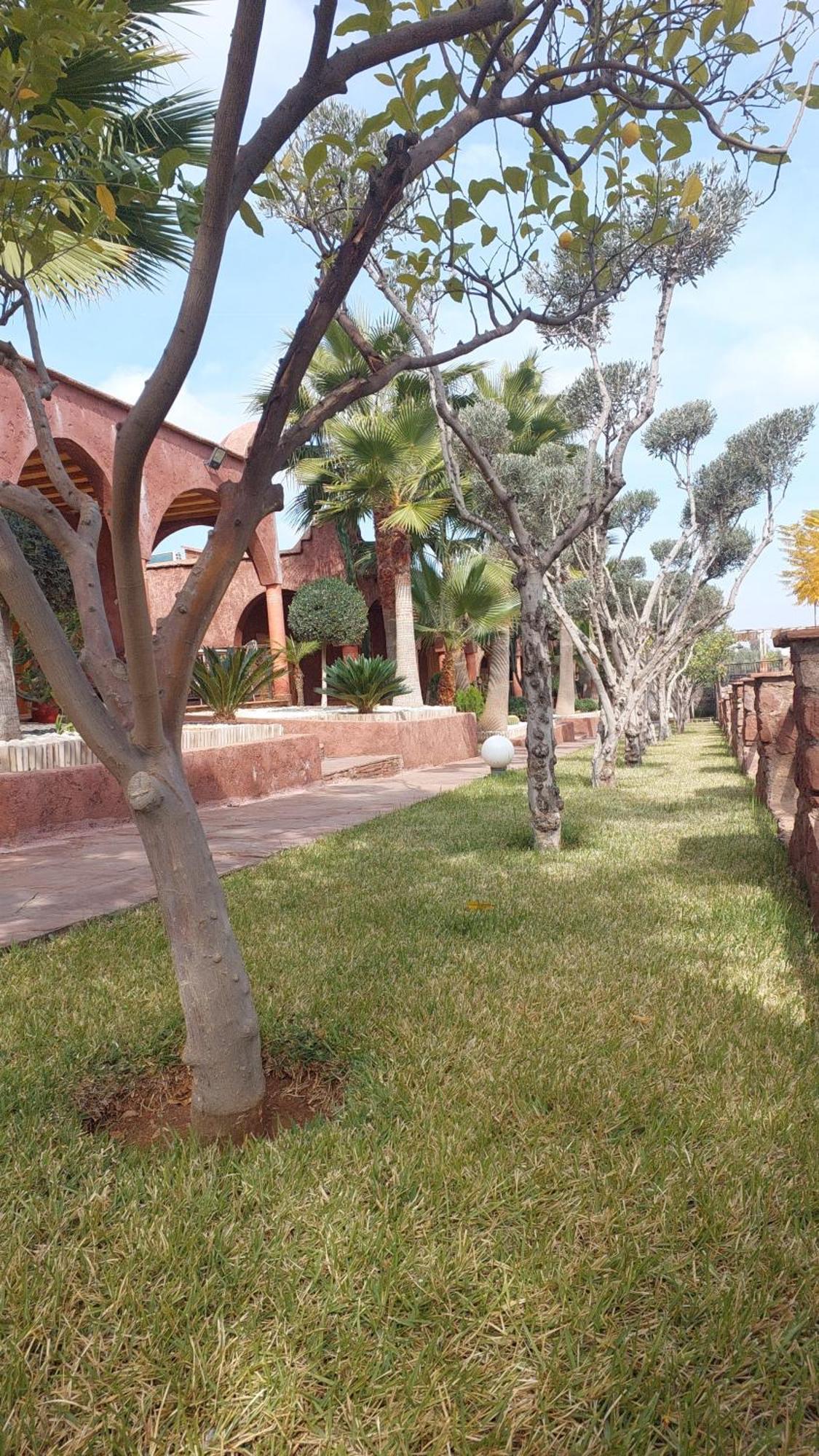 Chez Mamouchthka Bed & Breakfast Ourika Exterior foto