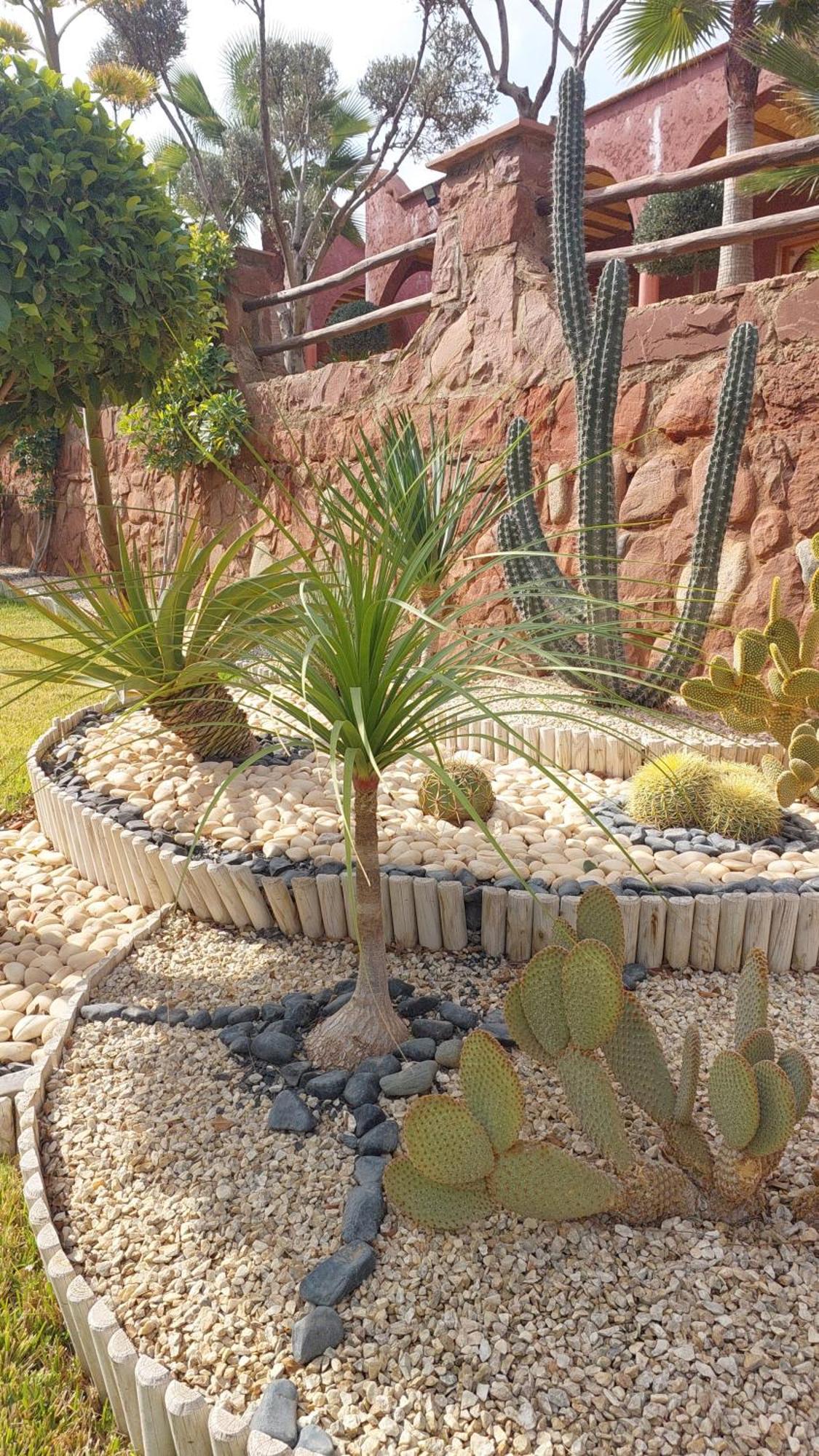 Chez Mamouchthka Bed & Breakfast Ourika Exterior foto